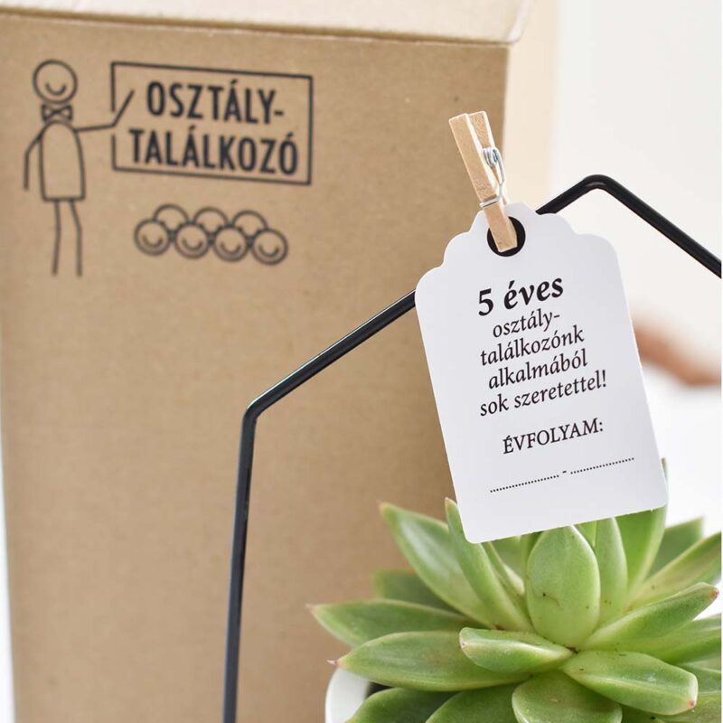 Vintage Dekoráció