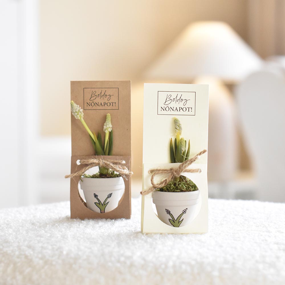 Elegáns nőnapi virágdísz mini cserépben