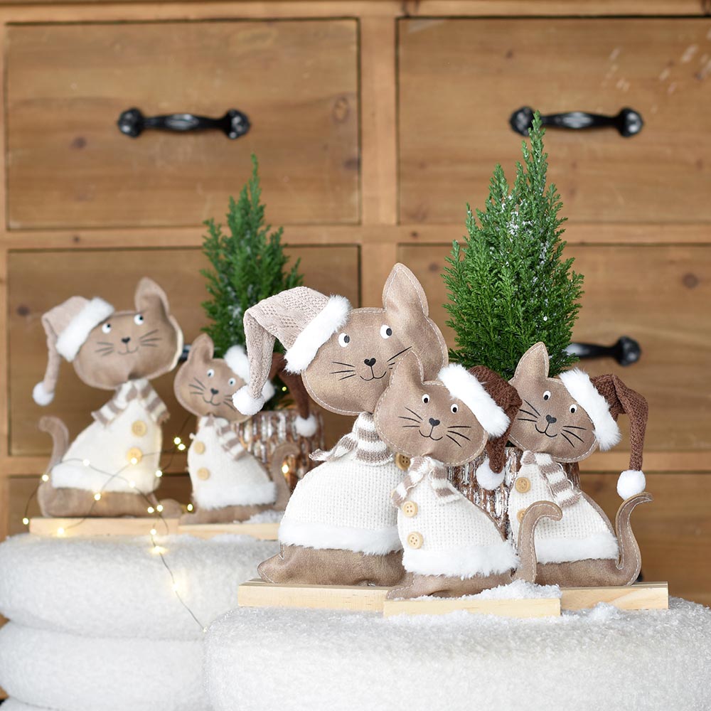 Téli cica örökzölddel kaspóban