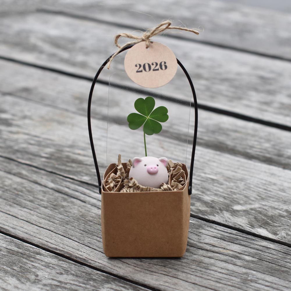 Szerencsehozó ajándék - Image 6