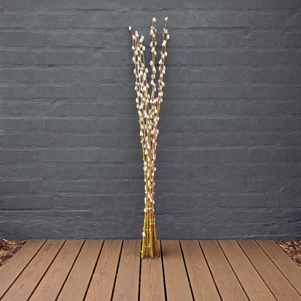 Hosszú szárú nagyszemű barka csokor - tavaszi dekoráció