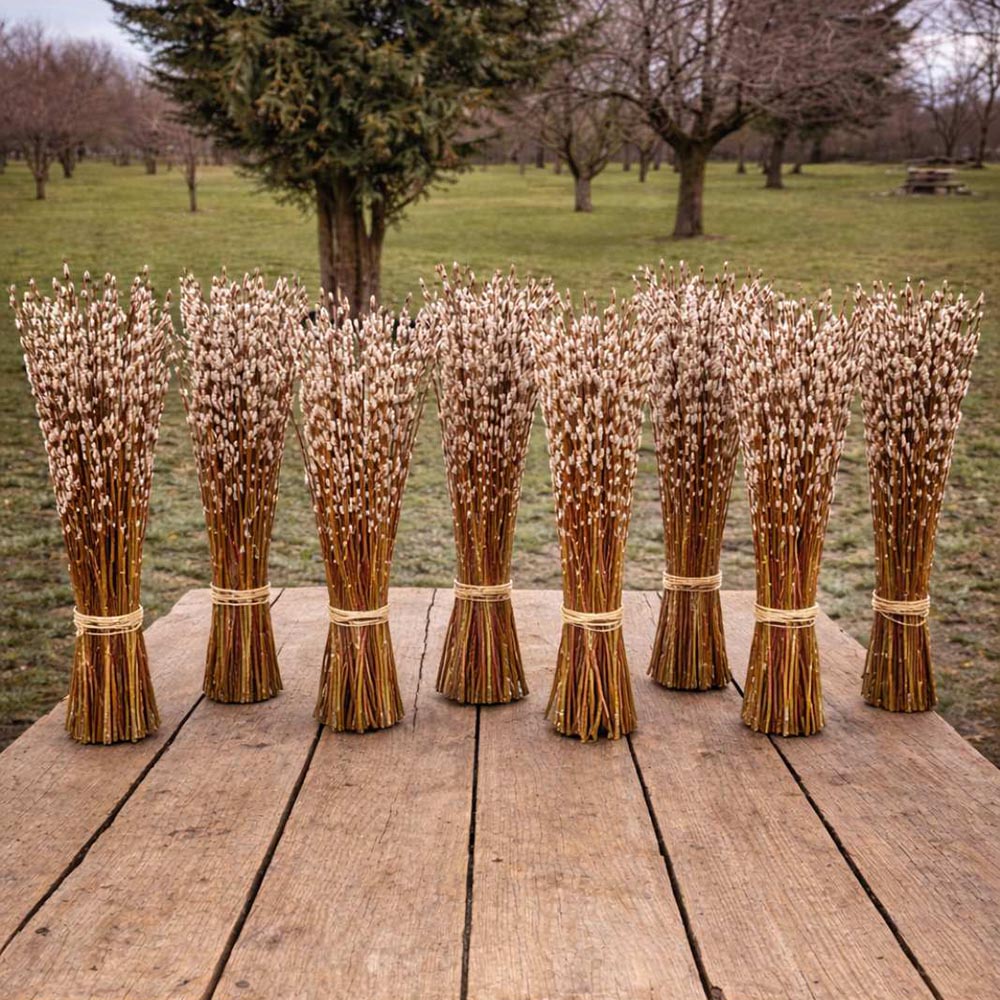 Hosszú szárú nagyszemű barka csokor - tavaszi dekoráció