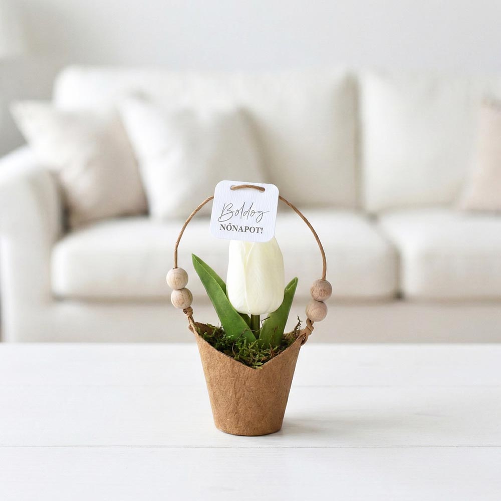 Nőnapi ajándék - ECO kaspós tulipán