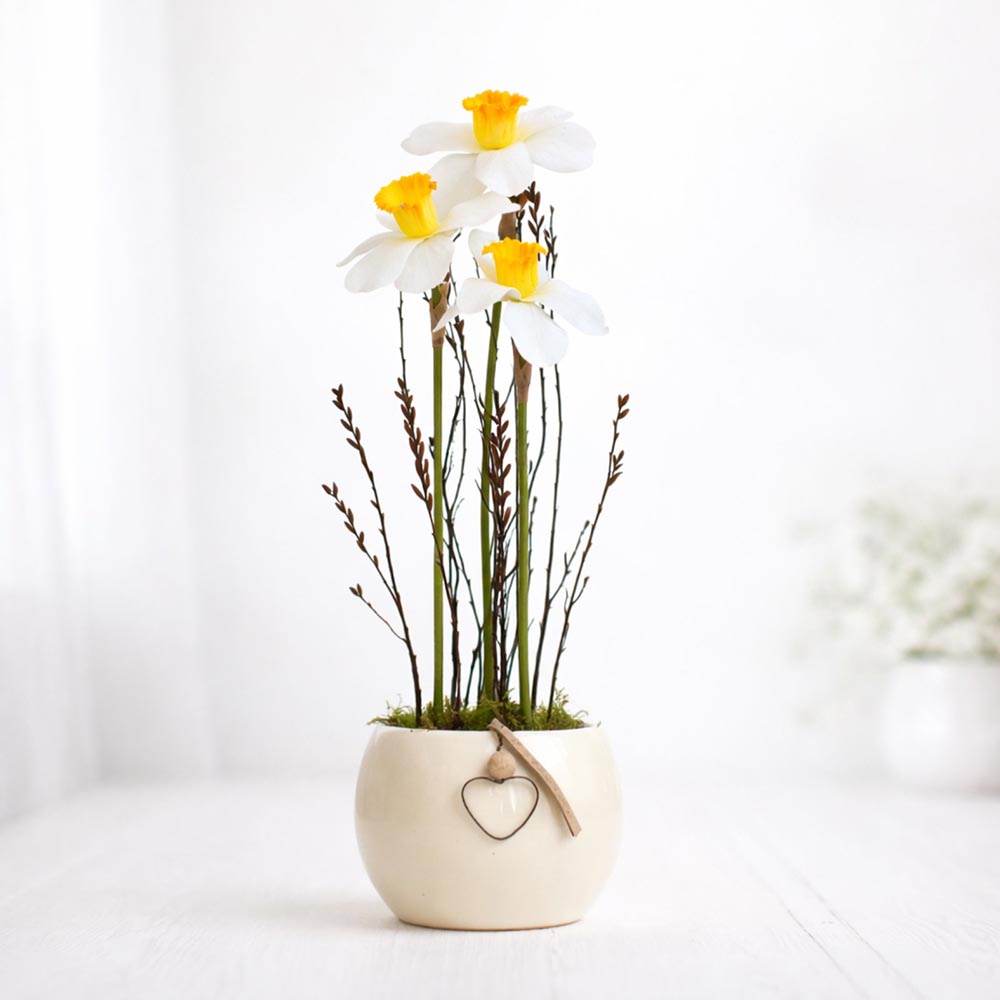 Tavaszi asztaldísz - nárcisz kaspóban