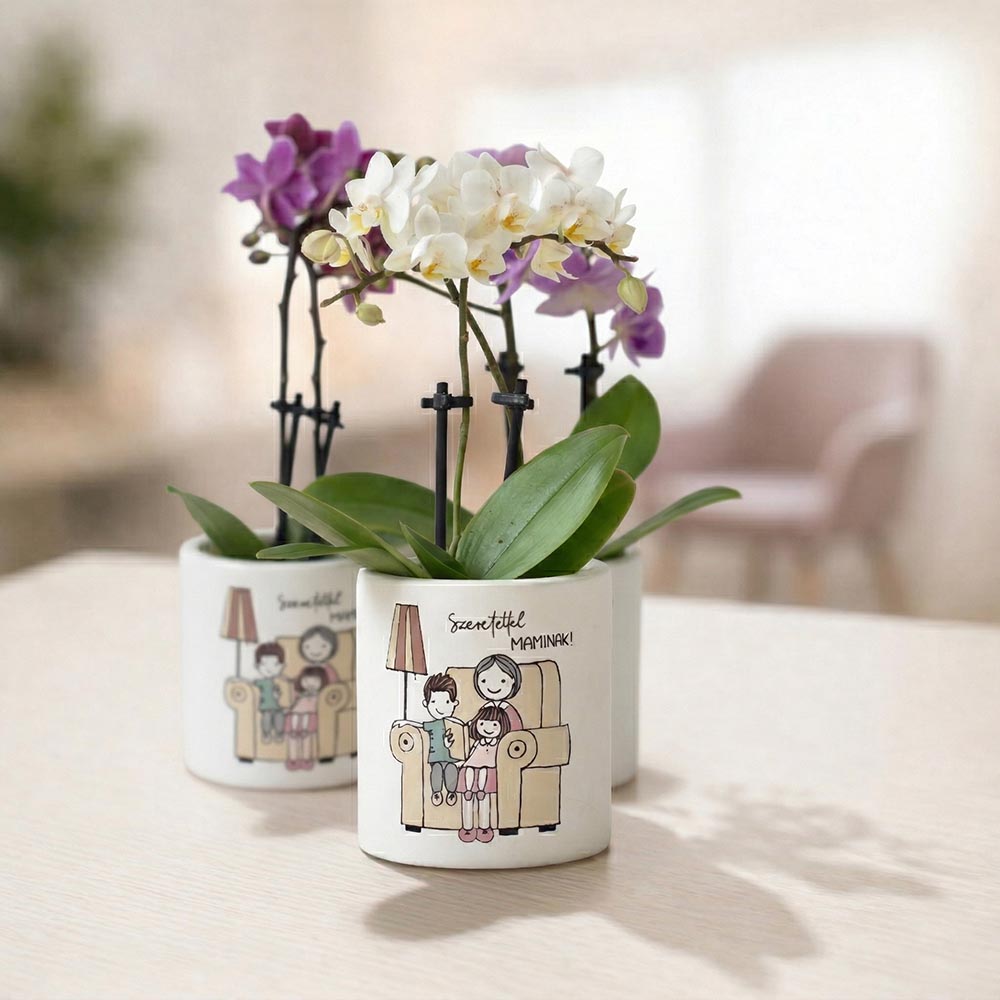 Anyák napi ajándék mamának - kaspó virággal