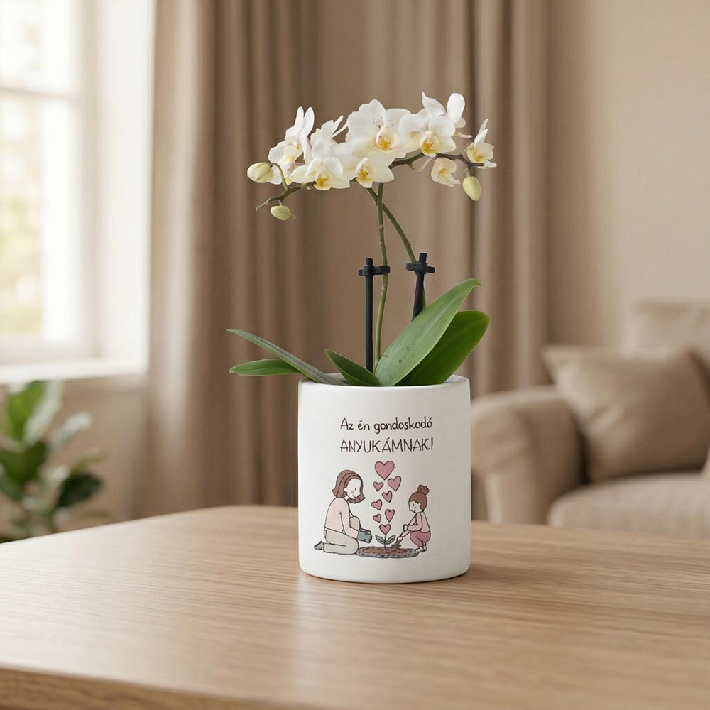 Alternative view of Egyedi anyák napi ajándék - kaspó virággal