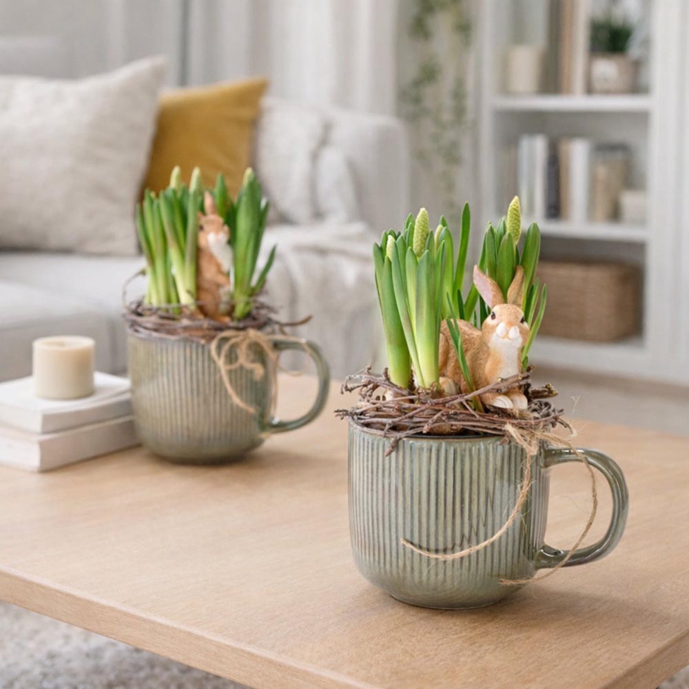 Nyuszis fürtös gyöngyike tavaszi asztaldísz