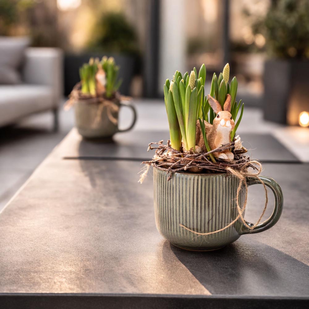 Nyuszis fürtös gyöngyike tavaszi asztaldísz