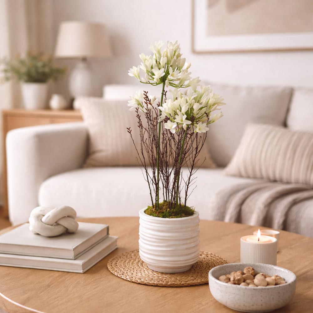 Szerelemvirág kompozíció fehér kaspóban