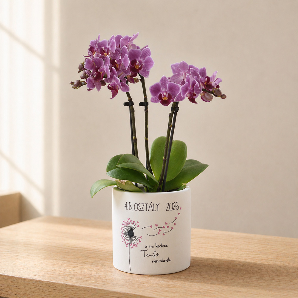 Alternative view of Pedagógus ajándék – pitypangos kaspó virággal