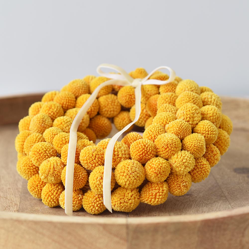 Alternative view of Sárga craspedia kopogtató