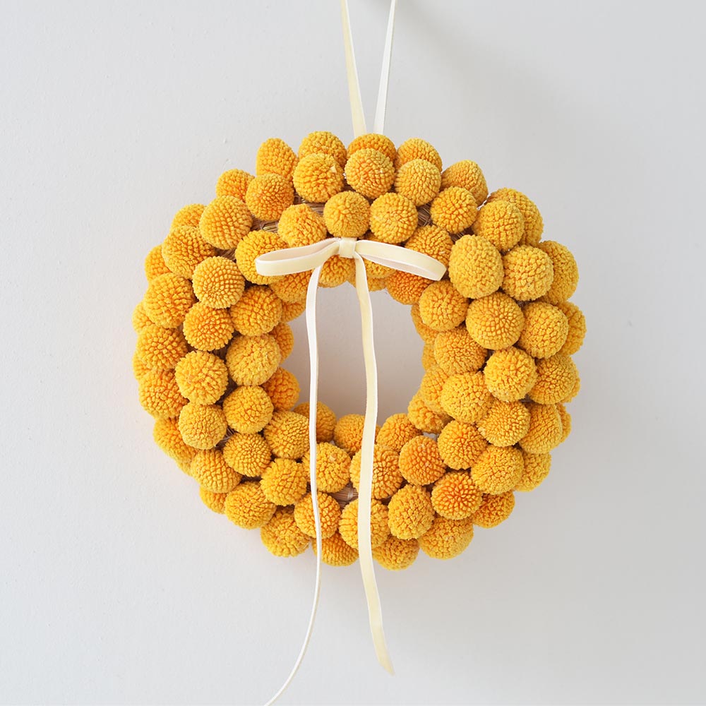 Sárga craspedia kopogtató