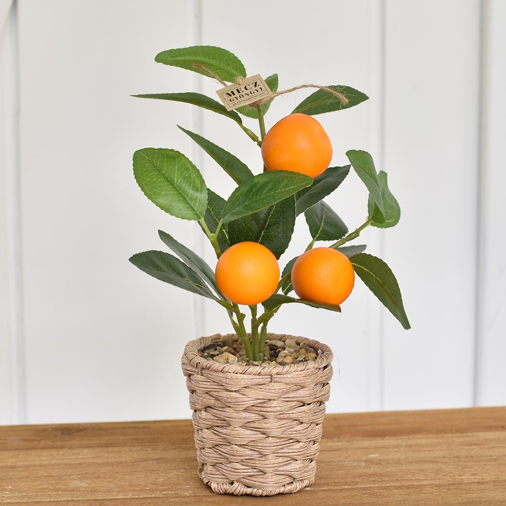 Mű citrusfa fonott kaspóban - citrom vagy mandarin