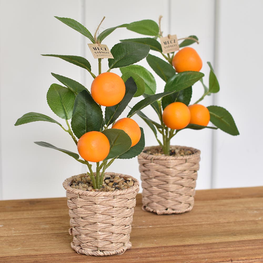 Mű citrusfa fonott kaspóban - citrom vagy mandarin