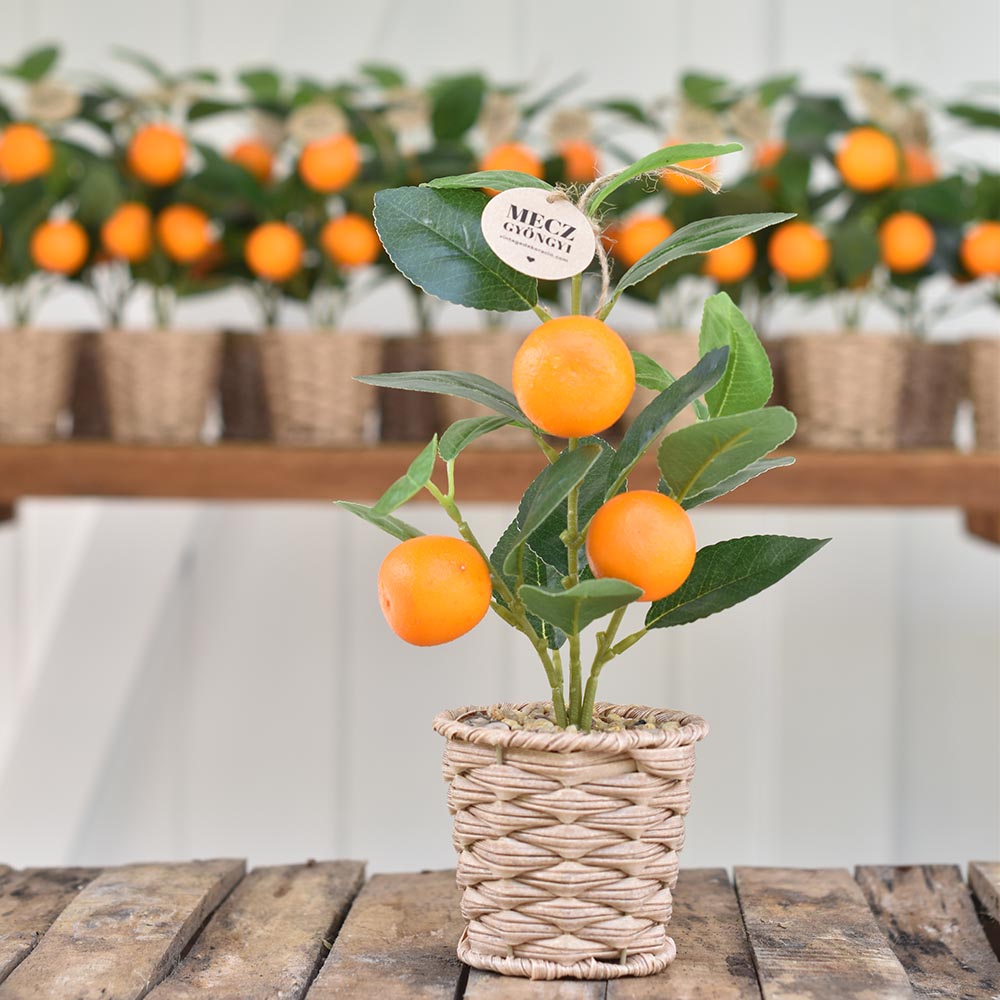 Mű citrusfa fonott kaspóban - citrom vagy mandarin
