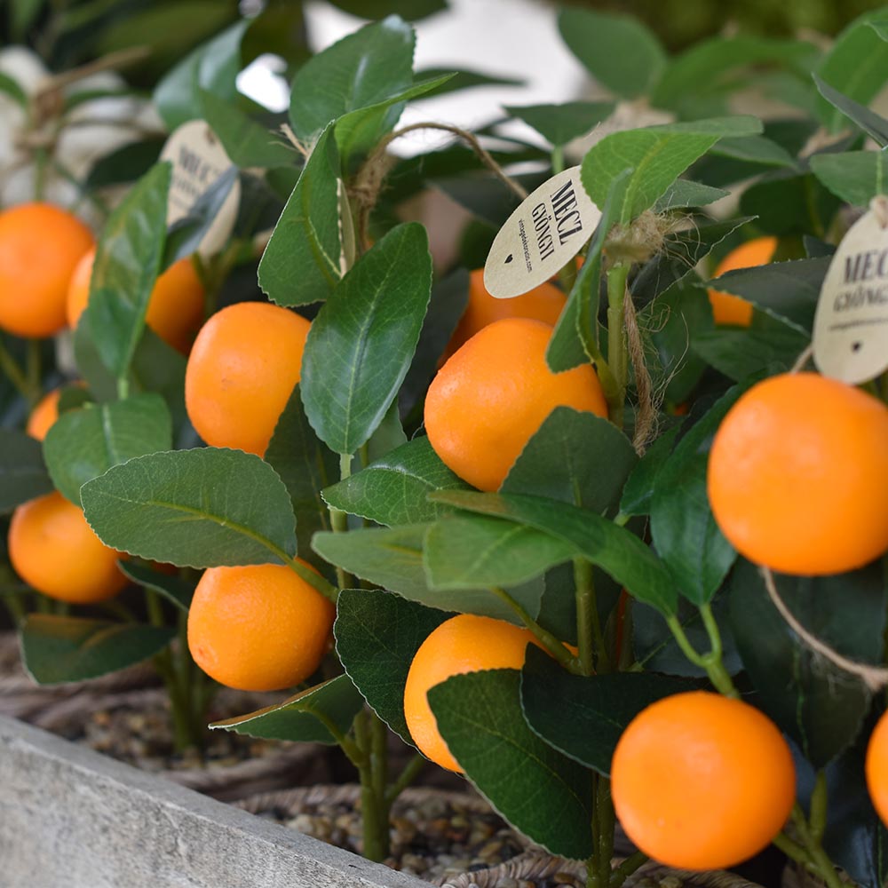 Mű citrusfa fonott kaspóban - citrom vagy mandarin